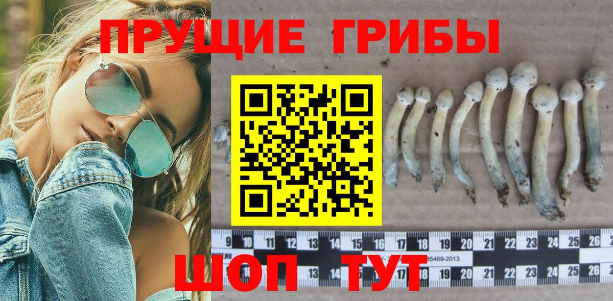 Галлюциногенные грибы MAGIC MUSHROOMS  Вход с VPN  продажа наркотиков  Шарыпово 